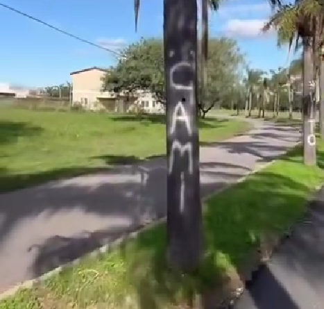 Otra vez dañan árboles en Funes: aparecieron pintadas en las palmeras del Boulevard Mitre